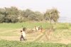 Vrindavan