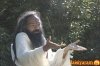 Swami Balendu