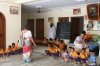 Children eating