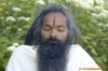 Swami Ji