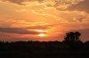 Sunset in Texas