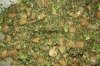 Palak Mushrooms