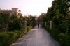 Green Nature in the Ashram