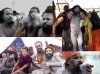 Naga Sadhus enjoying the Kumbh Mela