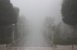 Winter in India
