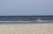Beach - free feelings
