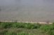 Polluted Yamuna Water