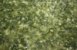 Dal Palak - Spinach with Moong Lentils