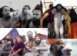 Naga Sadhus enjoying the Kumbh Mela
