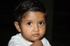 Bulbul
