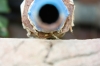 Black Hole