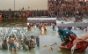 Religious Believers in a polluted River