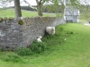 Ireland