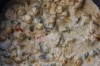 Royal Mushrooms in rich Cashew Gravy
