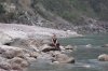 Meditation for Mindlessness