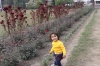 Apra and the Flowers