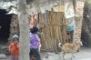 Beating your own Pet Dog