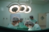 Work in the Medical Field