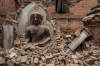 Earthquake in Nepal