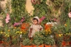 Suraj