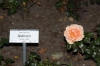 Ashram