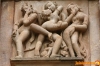 Sex for Pleasure or Reproduction