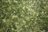 Dal Palak - Spinach with Moong Lentils