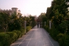 Green Nature in the Ashram