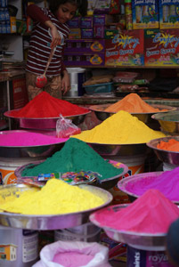 Holi Colours