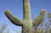tucson_arizona-82.JPG